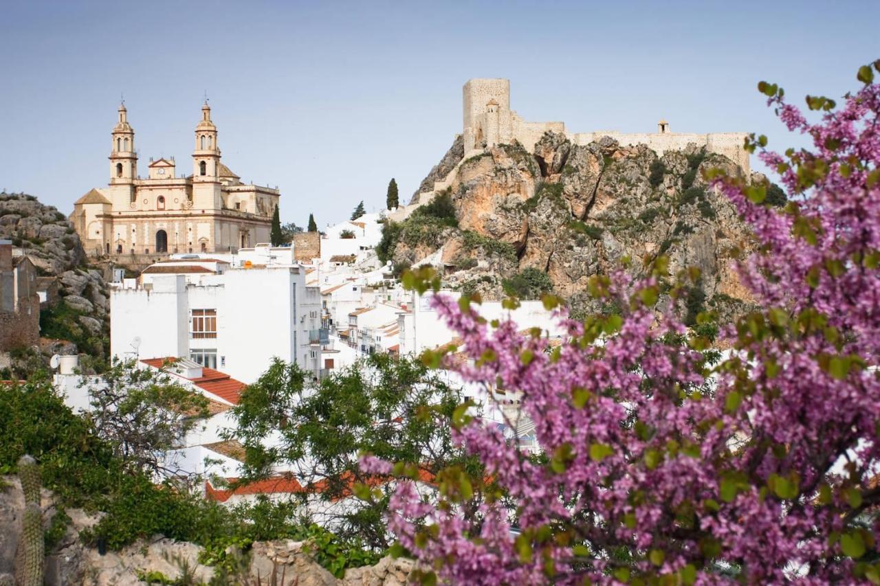Casa Del Arco Villa Olvera Bagian luar foto